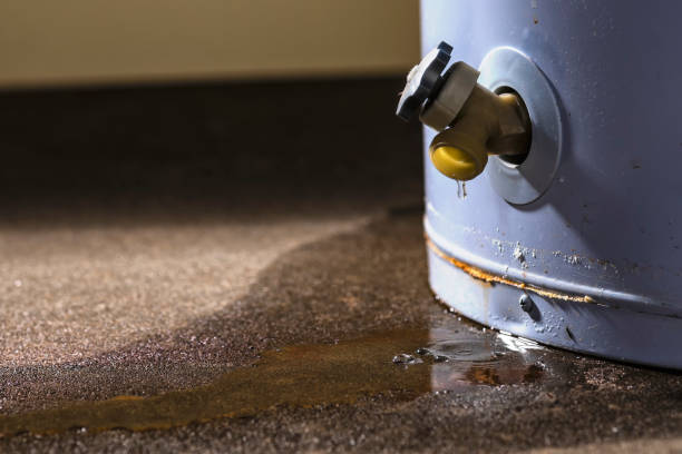Best Carpet water damage restoration  in Waldpt, OR