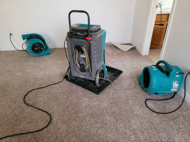 Best Flooded house restoration  in Waldpt, OR