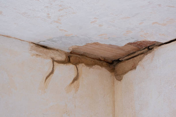 Best Water damage restoration cost  in Waldpt, OR