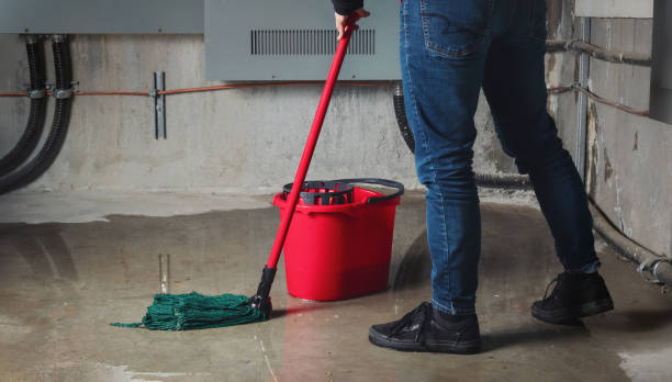 Best 24-hour water damage restoration  in Waldpt, OR