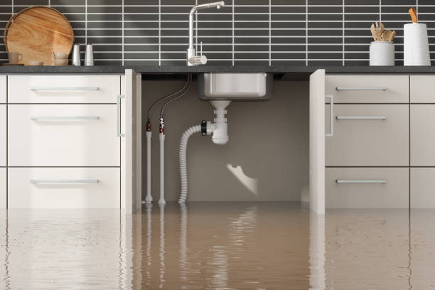Best 24/7 water damage repair  in Waldpt, OR